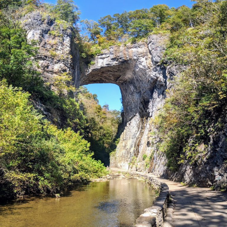 8 Excellent Blue Ridge Parkway Campgrounds for Your Road Trip - Florida ...