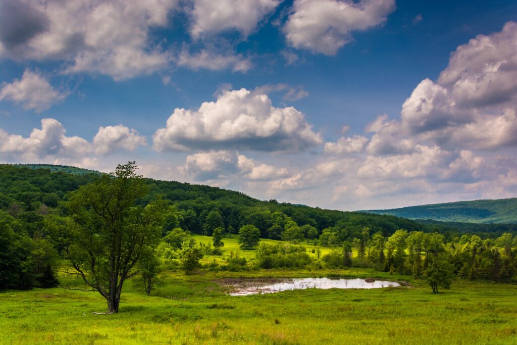 Canaan Valley Jon Bilous Shutterstock - These Are The 7 Best State Parks in West Virginia