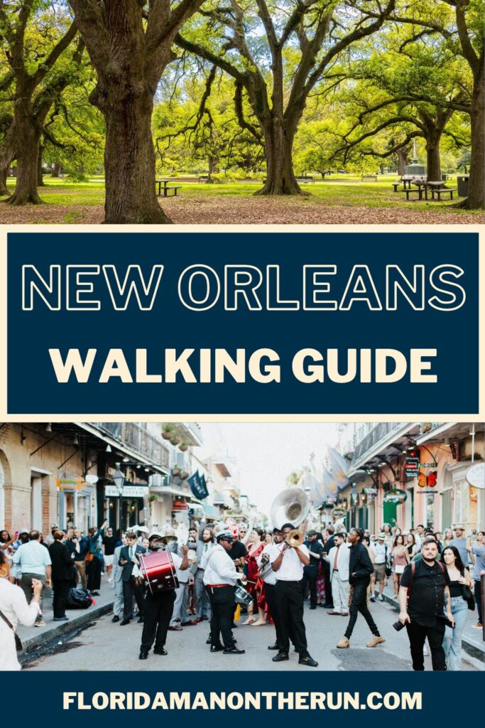 neworleanssplitblue 20260410 184227 00005309857441357074669 - Walking in New Orleans: How We Explored the City Without a Car