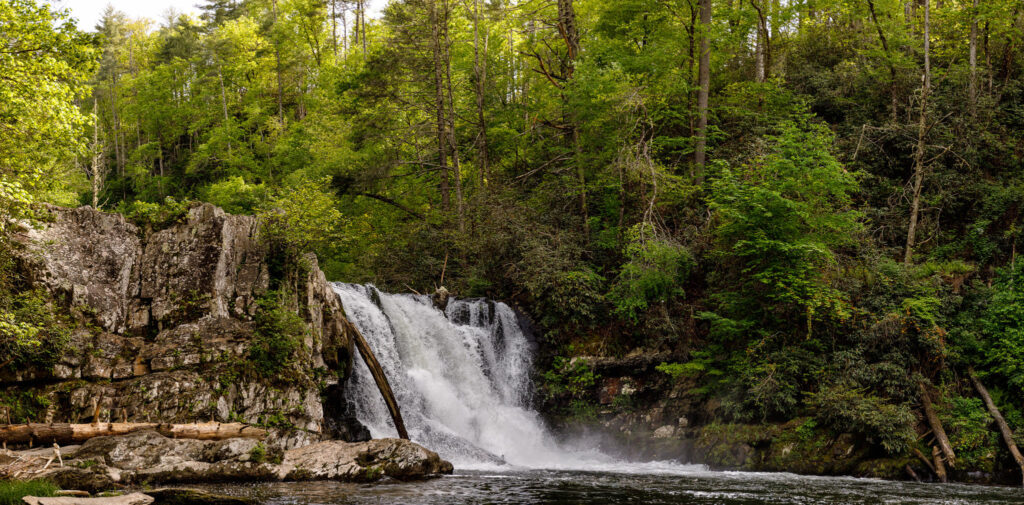 One of the best waterfalls in Tennessee, Abrams Falls is accessed from Cades Cove on a challenging hike. 