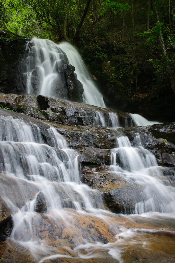 Laurel Falls cascading over rocks in Great Smoky Mountain National Park