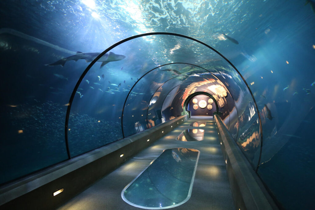 Discover Newport Oregon Coast Aquarium - The Helpful Guide on Things to Do in Newport, Oregon!