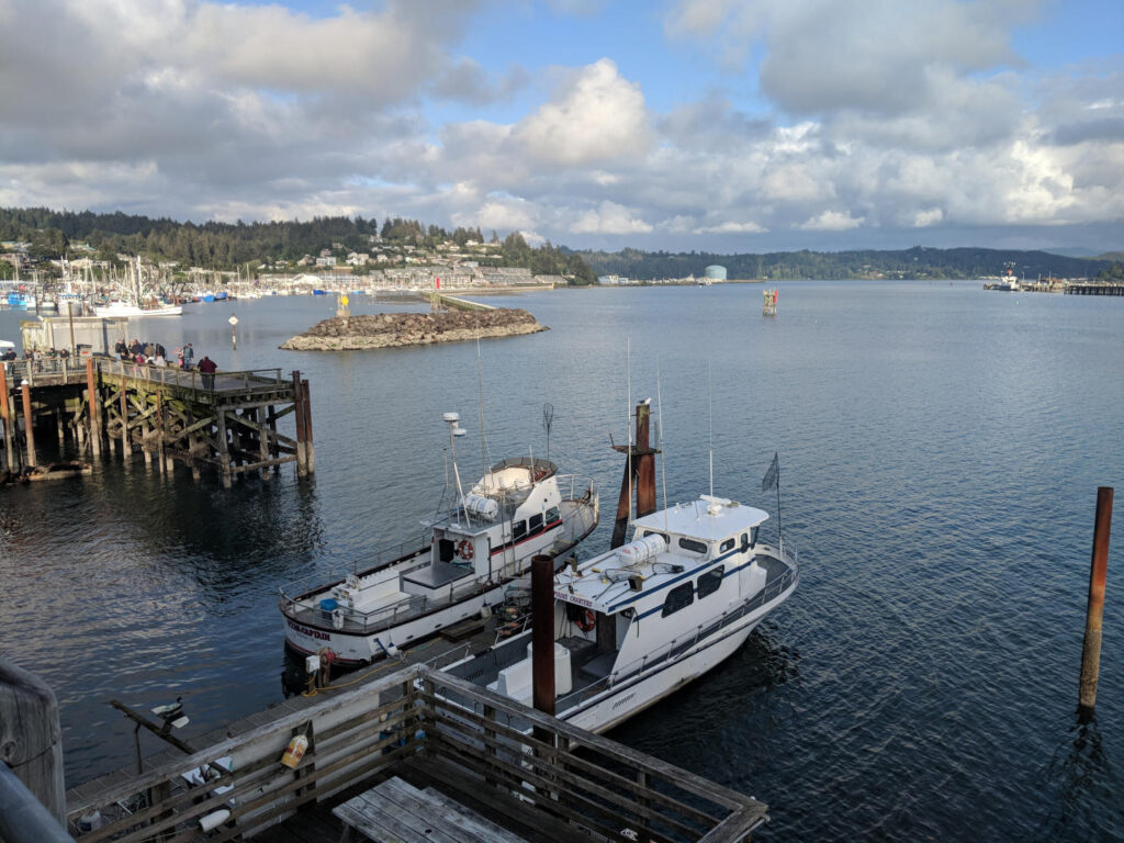 Boats await visitors in Yaquina Bay, one of the best things to do in Newport