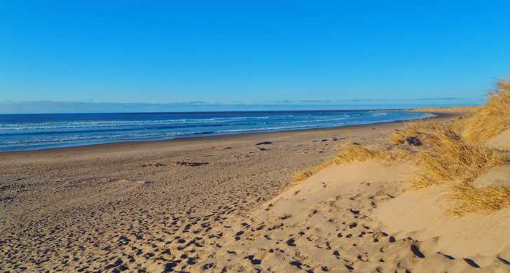 Oregon State Parks South Beach State Park Beach - The Helpful Guide on Things to Do in Newport, Oregon!
