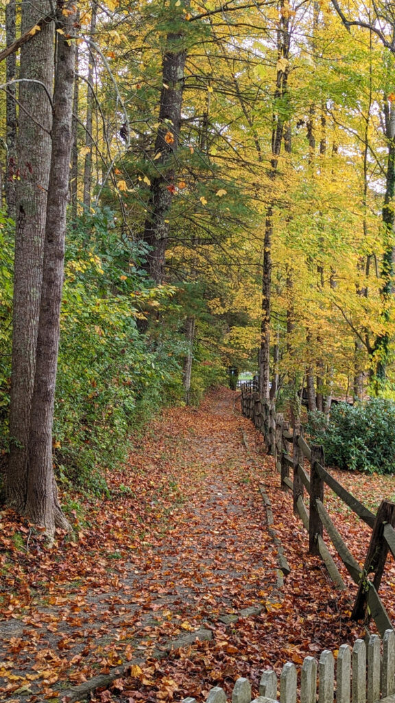 Coal Mine Trail - A Handy Visitor's Guide to Beckley, WV!